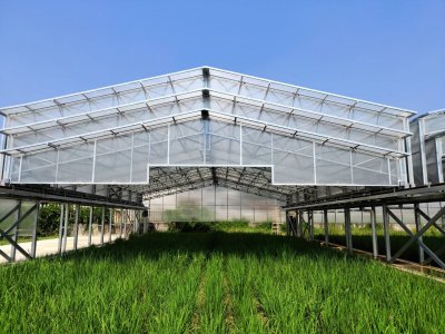 隆平高科种业研究院有限公司项目承建