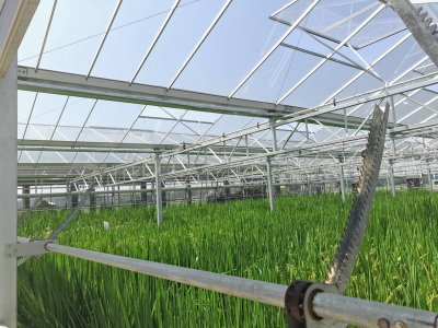 怎样攥牢农业“芯片”？