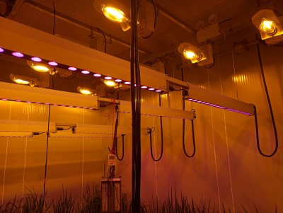 湖南农业大学水稻育种教学研究人工气候室