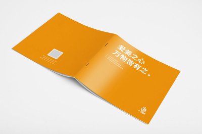 总监-画册设计-商务风格