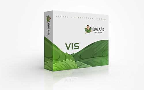 总监-山楂大叔VIS设计