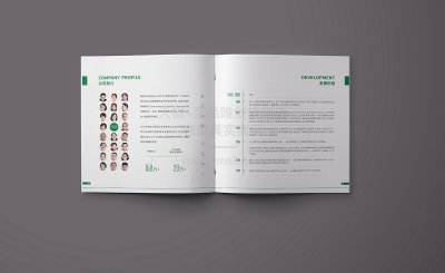总监-画册设计
