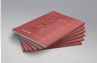 总监-画册设计-机械