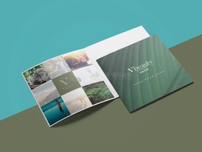 总监-画册设计-美容品牌宣传