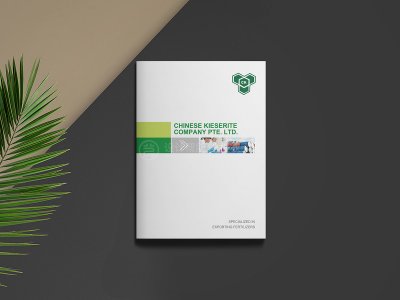 总监-画册设计-化工