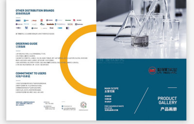 总监-画册设计-化学