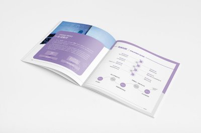 总监-画册设计-数字科技