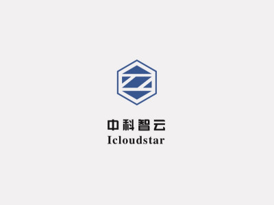 资深-LOGO设计