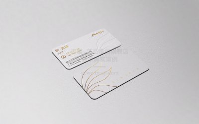 总监-名片设计-名片