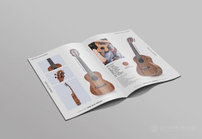 总监-画册设计-吉他