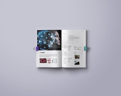 总监-FPGA电子科技公司宣传画册设计