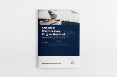 总监-教育培训机构宣传画册设计