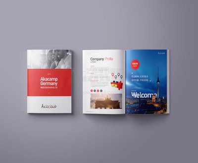 总监-画册设计-咨询培训公司