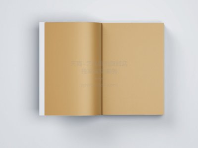 总监-画册设计
