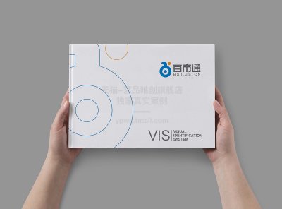 总监-VI设计-数字科技