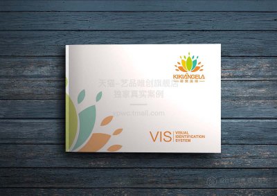 总监-美容行业咨询企业品牌形象VI设计