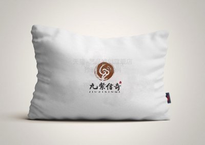 总监-VI设计-养生