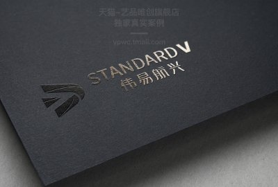 总监-LOGO设计-伟易航行