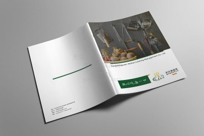 总监-画册设计-餐饮管理