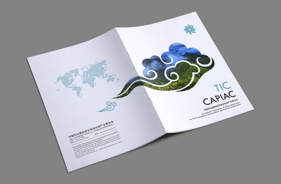 总监-画册设计-茶协会