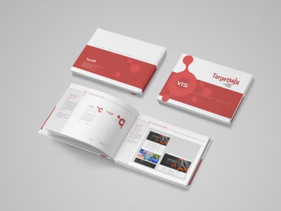 总监-生物科技企业品牌形象全套VI设计