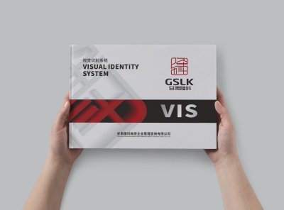总监-VI设计-金融