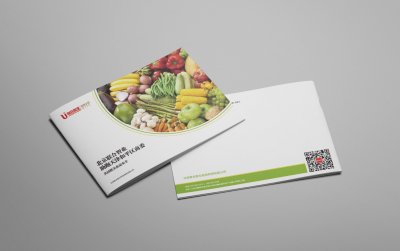 总监-画册设计-食品检测