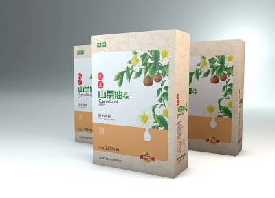 总监-包装盒设计-食品