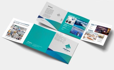 总监-折页设计-物流