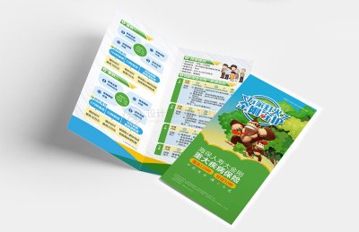 总监-折页设计-保险