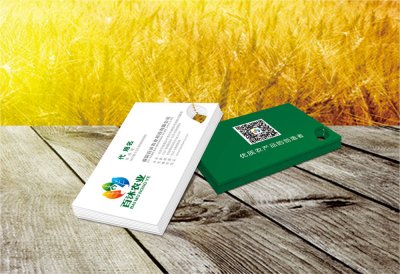 资深-VI设计-生态农业