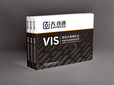 资深-VI设计-物流运输