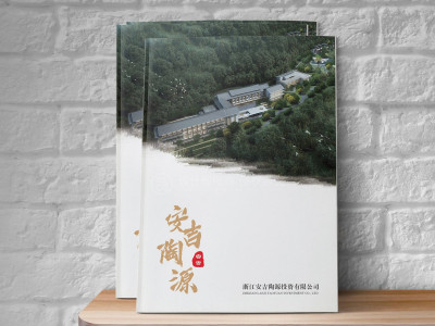 总监-画册设计-投资类