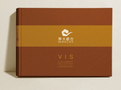 资深-VI设计-养生