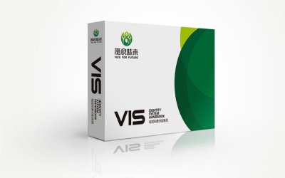 总监-膳食未来VI设计