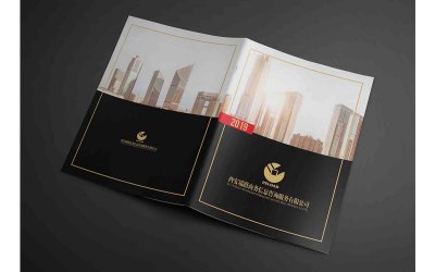 总监-画册设计-金融咨询