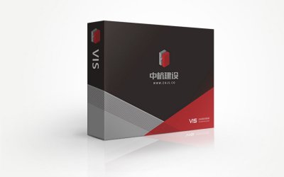 总监-VI设计-建设