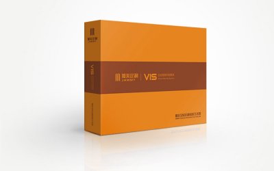 总监-VI设计-全屋定制