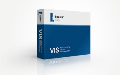 总监-VI设计-地产投资