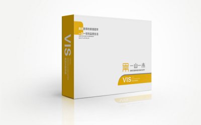 总监-VI设计-家居超市