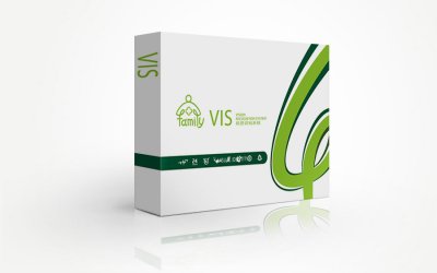 总监-VI设计-信息技术