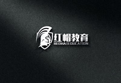 总监-LOGO设计-学校教育