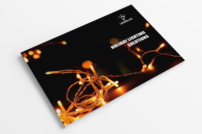 资深-LED灯品牌企业宣传画册设计