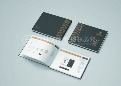 总监-VI设计-装饰