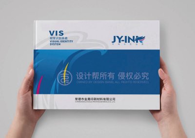 总监-VI设计-印刷材料