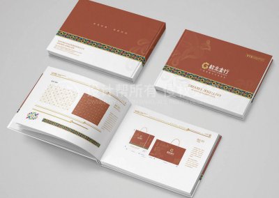 总监-VI设计-金融