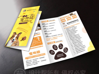 资深-折页设计-宠物