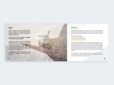 资深-画册设计-人力资源