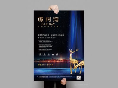 资深-商业地产宣传海报设计