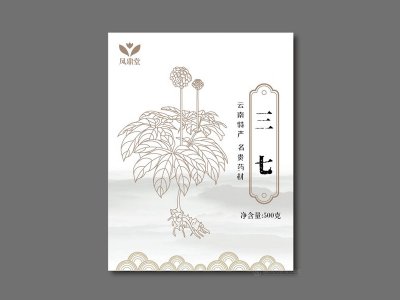 资深-包装设计-中药包装